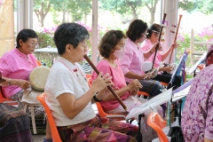 25670319-rommanee-005