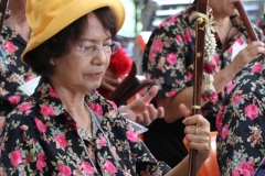 25670424-rommanee-016