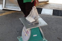 25670206-LIB-Leng-023