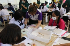 Making-dreams…little-librarians-66-73