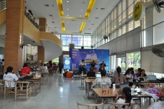 musical-performance-66-5