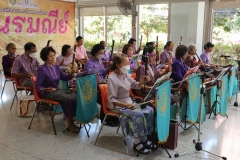 25670220-rommanee-009