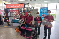 selection-of-books-1-9