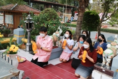 Thambun-Pimai-Pi-66-37