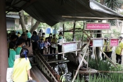 thumbs_Young-Guide-65-77